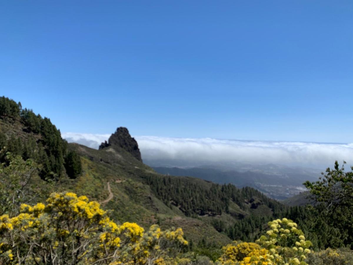 Villa Rosaura Las Palmas de Gran Canaria Extérieur photo